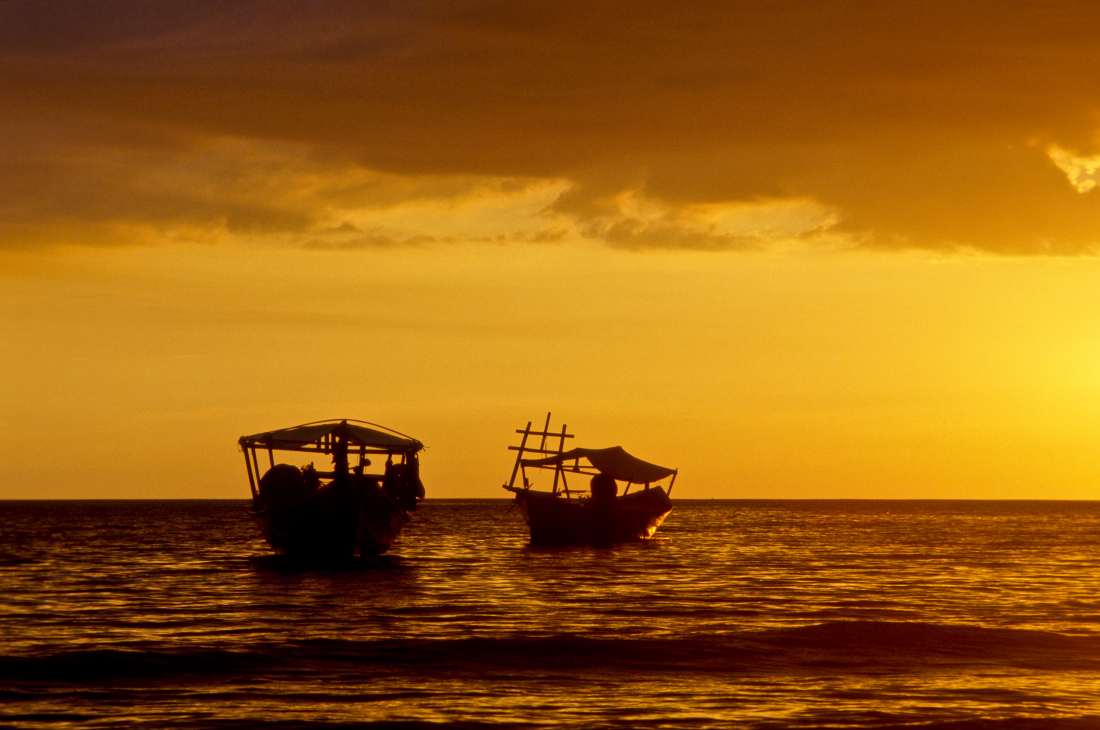 Un safari n'est pas un voyage comme les autres  - Le Comptoir d