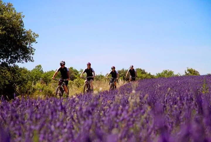 circuits velo provence