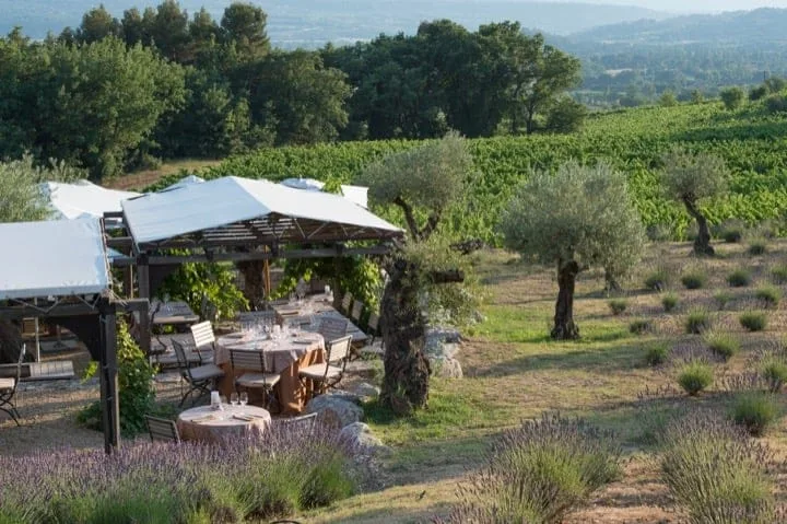 le bistrot et son jardin dans les vignes 1