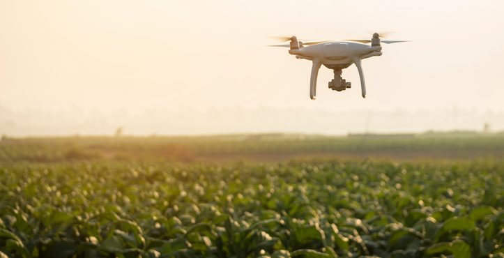 Innovation Et Big Data Dans Le Monde Agricole Forbes France