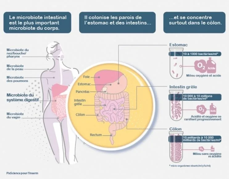 pixscience microbiote plargeur jpg