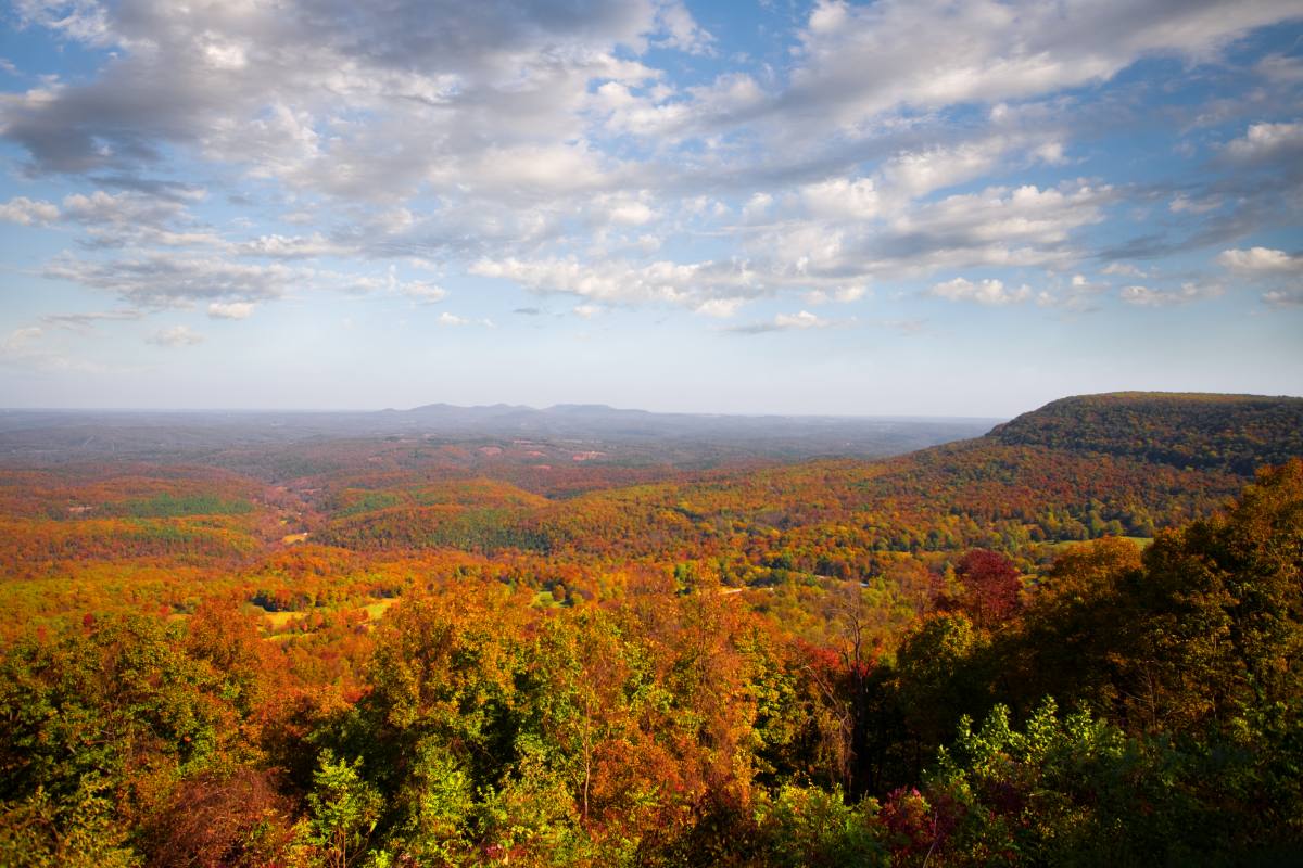 Escape to the Ozark Mountains: Your Guide to Arkansas Starkey Recreation Area