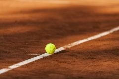 Classement des joueurs de tennis les mieux payés en 2021