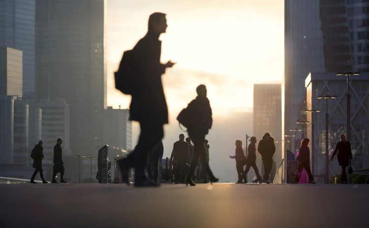 marché de l'emploi